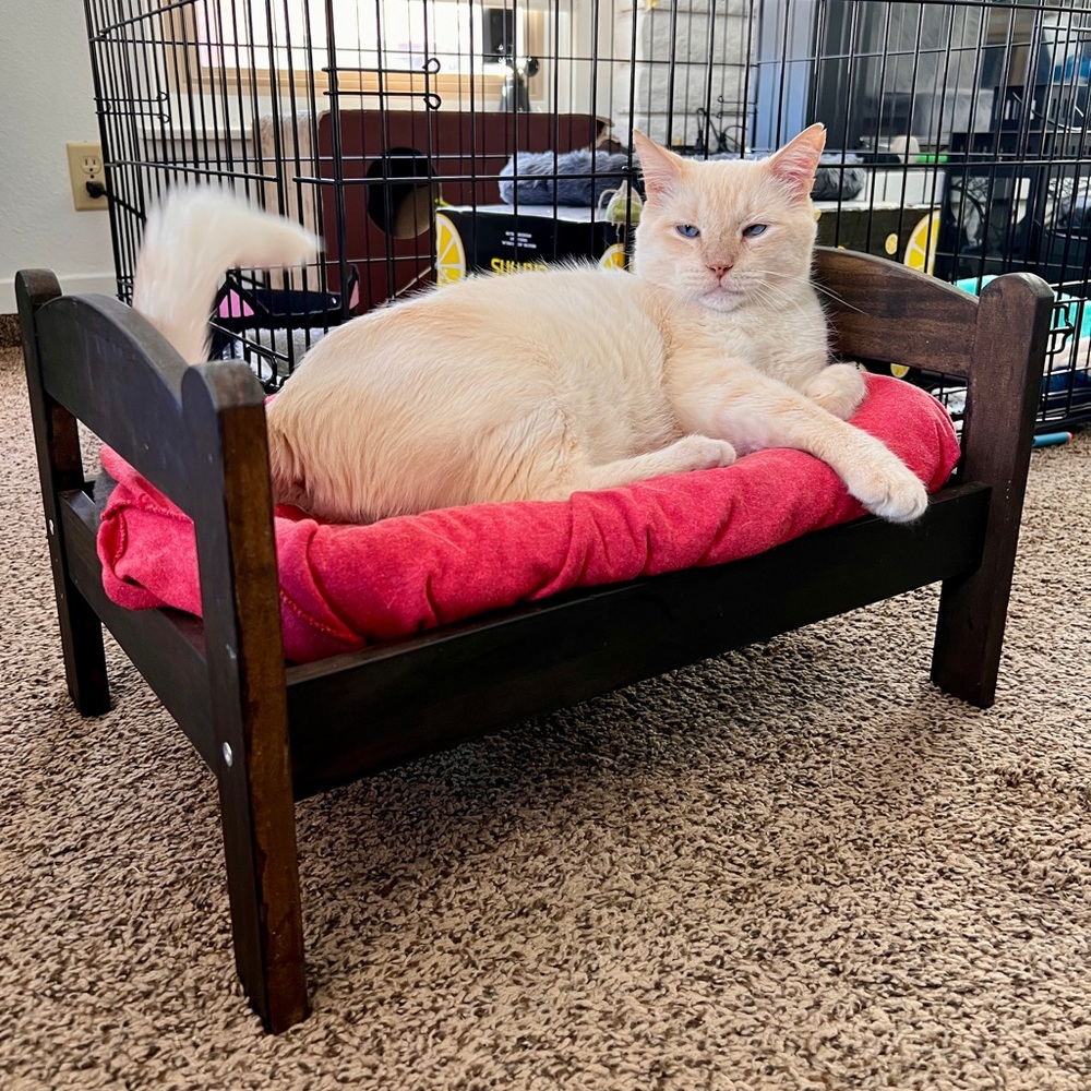 IKEA DUKTIG bed in Espresso finish. NWT Viral Cat bed • 705.892.23